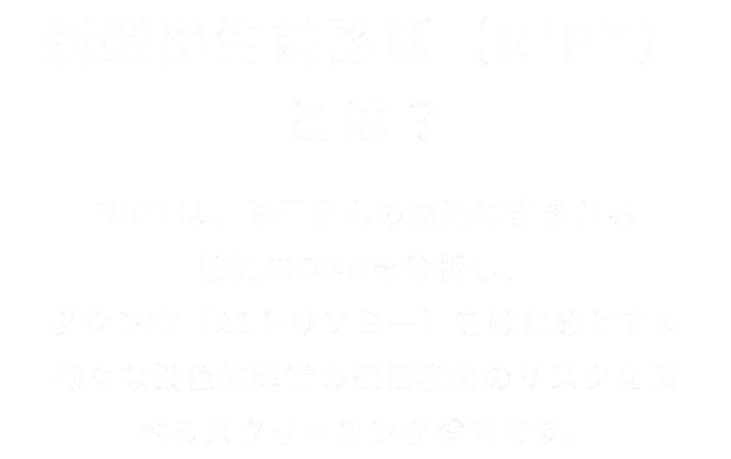 nipt-我孫子市-7