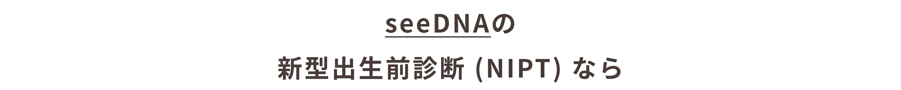 seeDNAのNIPTなら_我孫子市_11