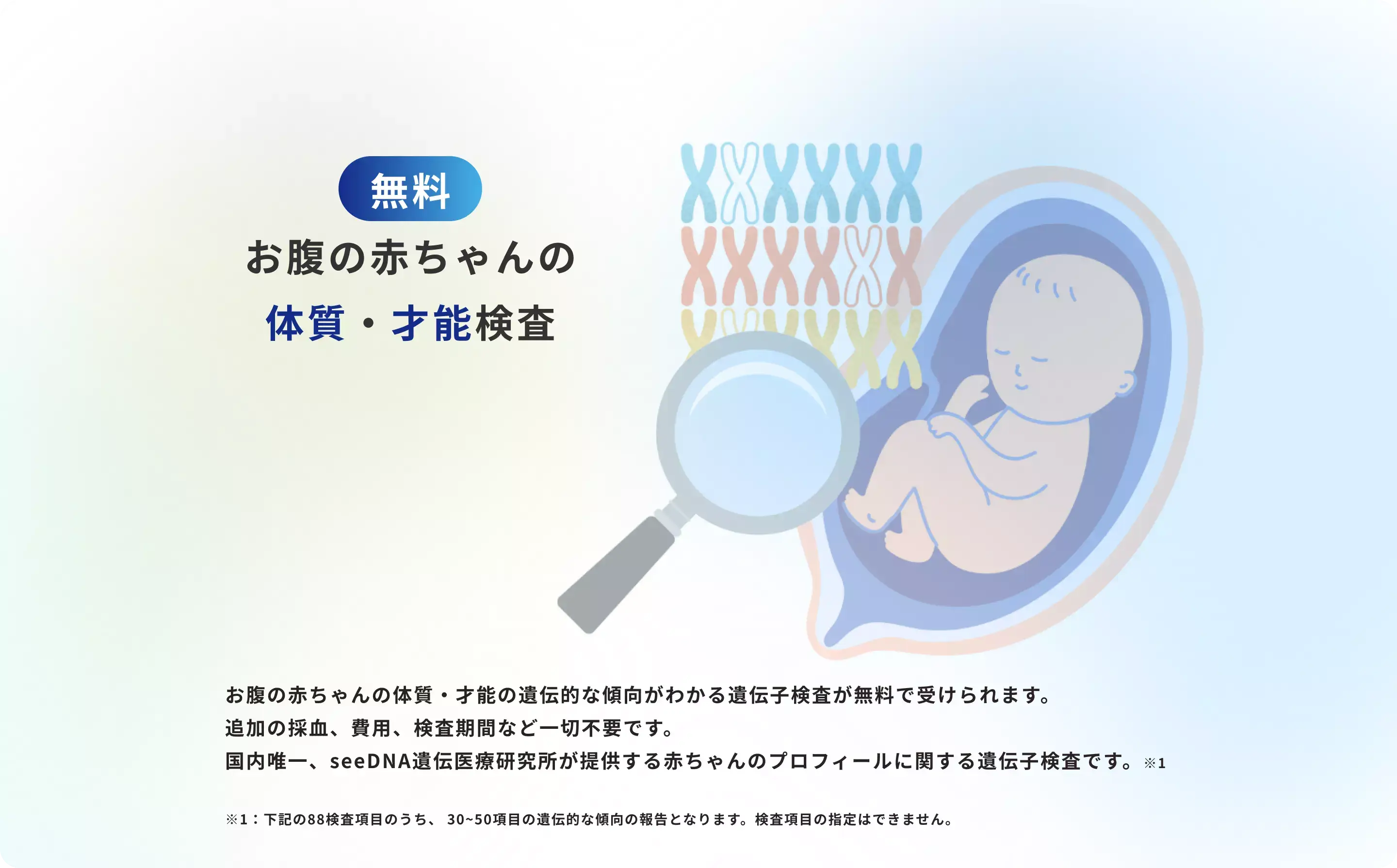 nipt-我孫子市-32