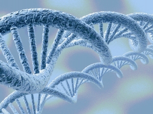 DNAの形