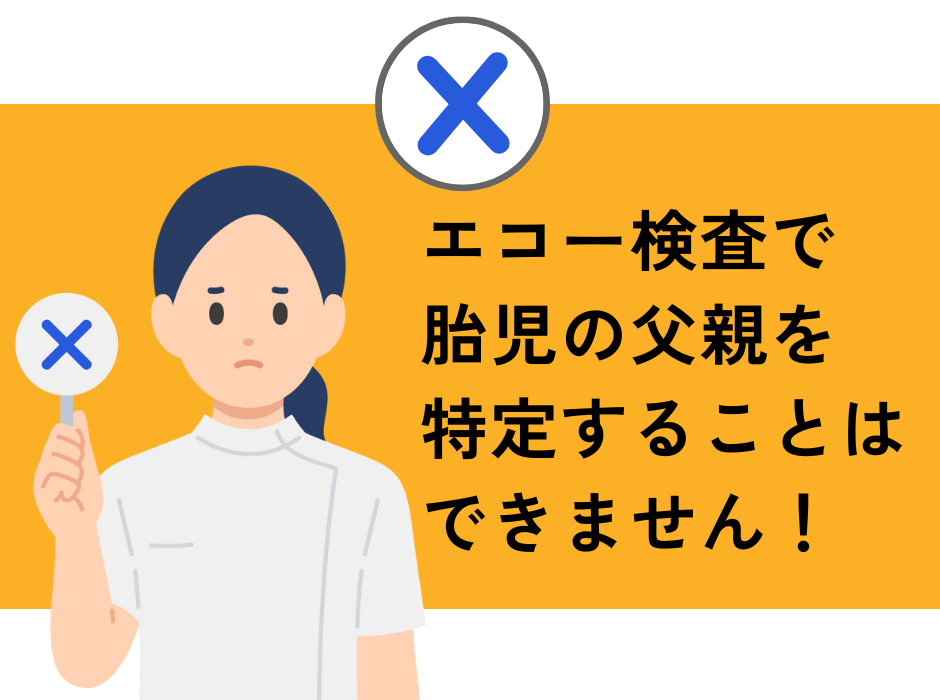 産婦人科のエコー検査で胎児の父親を特定できない