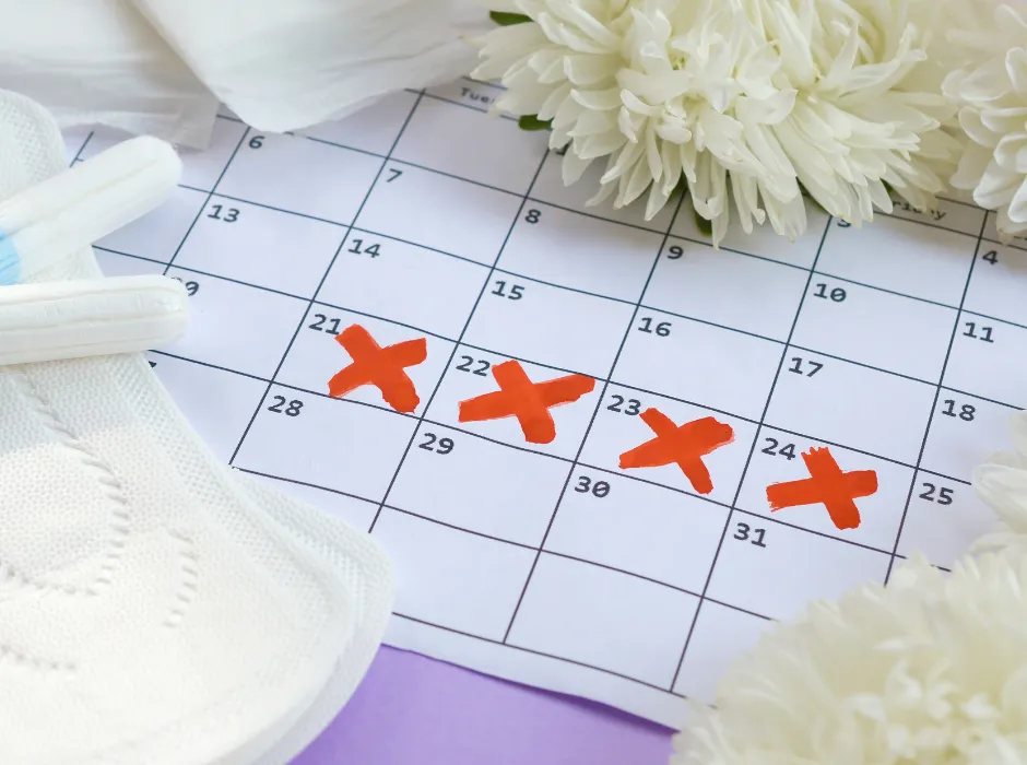 生理と排卵について