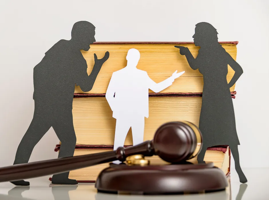 5. 行政手続きや裁判における誤った判断の原因に