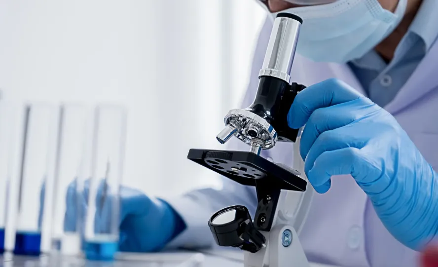 顕微鏡を使った検出方法(精子細胞の確認)