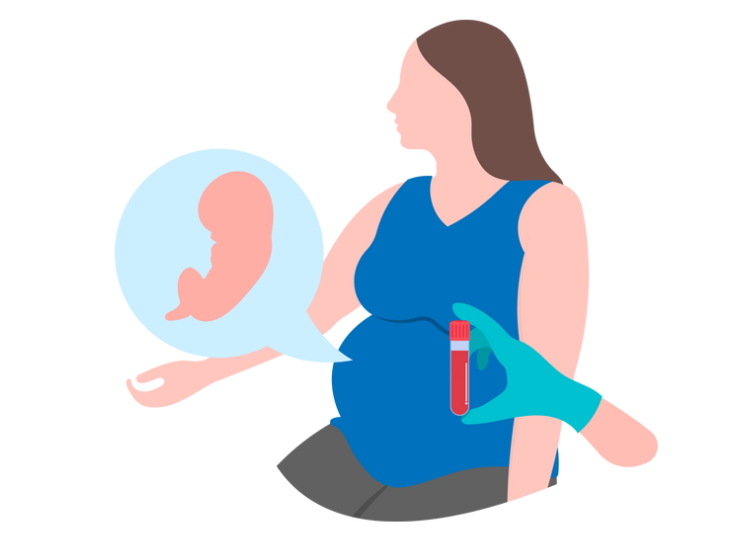 母親の血液で行うお腹の赤ちゃんの親子DNA鑑定の概要