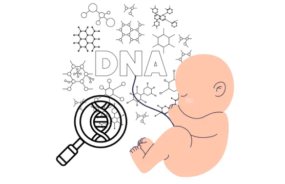 妊娠10週目以前に検査を受けたら?