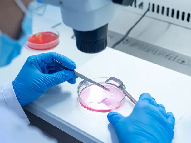 “有利な変異”の中には、実は「機能を失う変異」も
