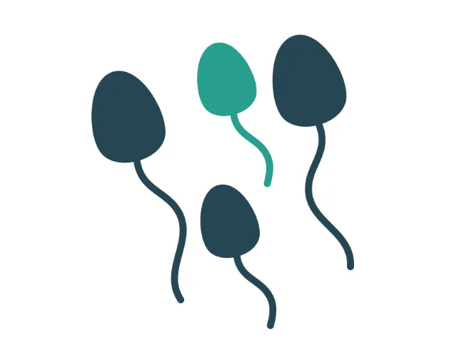 父親の年齢が上がると、リスクを持つ精子も増える