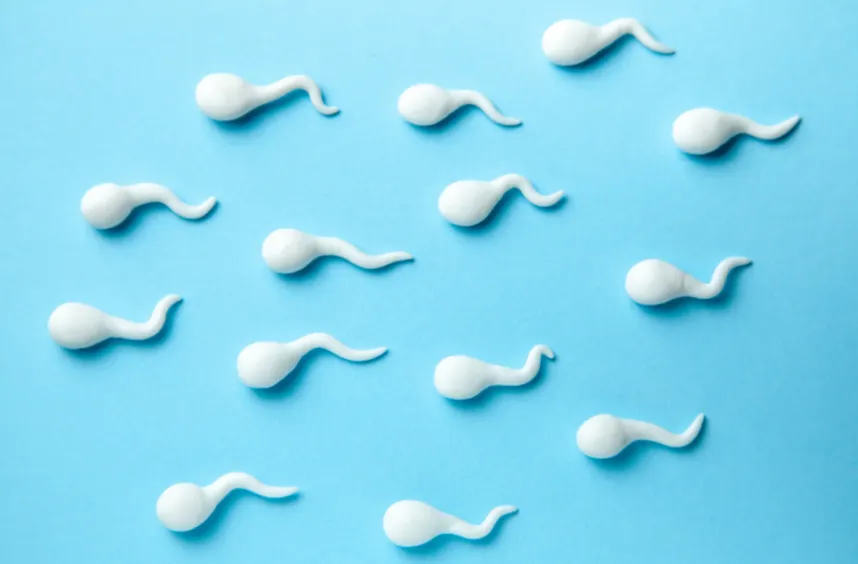 科学でしか「真実」は確定できない