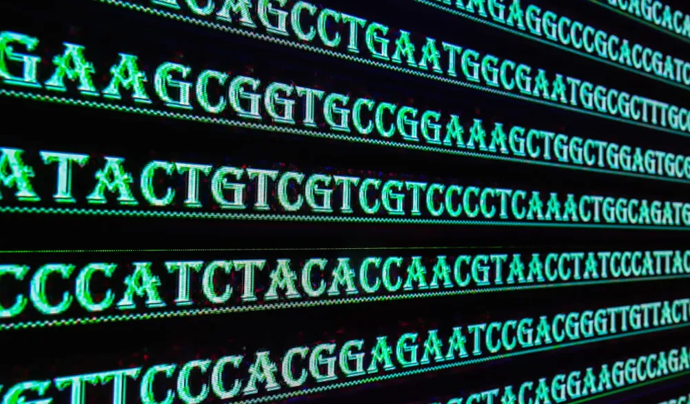 どれくらいの座位を調べる？：分析マーカーの実際