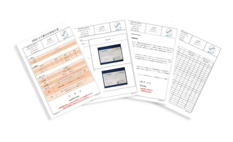結果の見方と信頼性