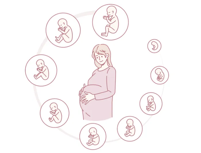 DNA鑑定技術の基本と親子鑑定の仕組み