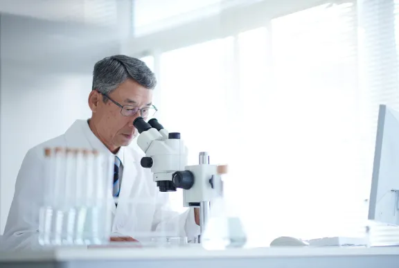 今後の展望と利用者へのアドバイス