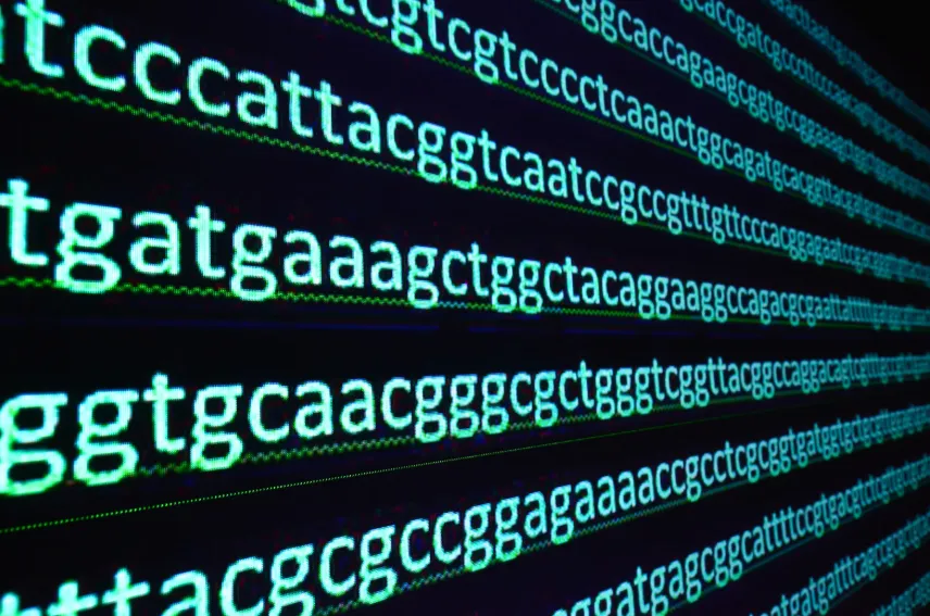 なぜそんなに当たるのか：科学的な仕組み