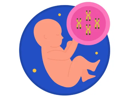 NIPTが「高精度」といわれる理由