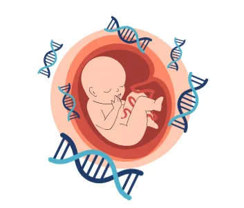 NIPTとは何か？まず知っておきたい基本