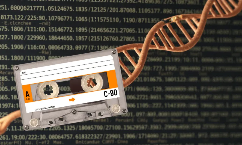 現場での対応と注意点