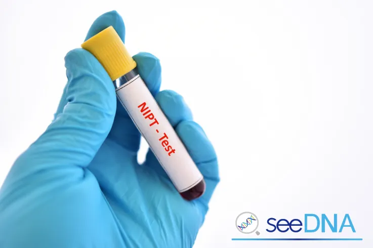 NIPTで「わかること」と「わからないこと」の違い