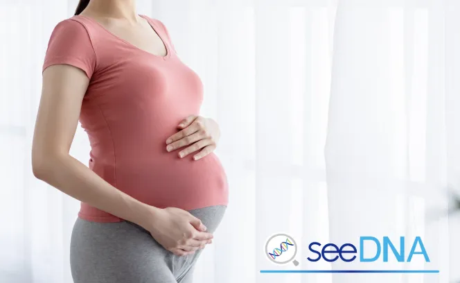 検査タイミング・費用の目安