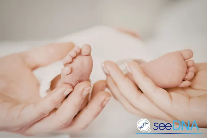 まとめ:NIPTは「健診の延長」ではなく「独立した選択」