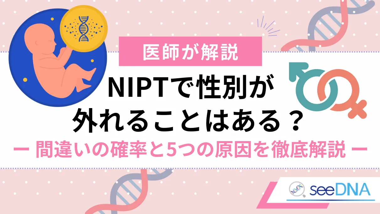 NIPTで性別がわかる仕組みとは？