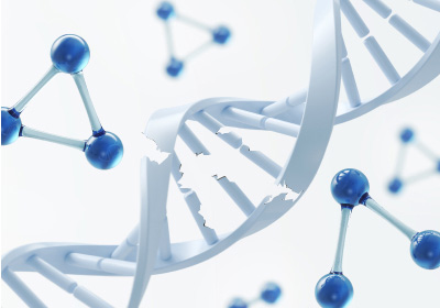 特殊親子DNA鑑定では、他社では鑑定が難しい、損傷や突然変異がみられるDNAでも鑑定可能