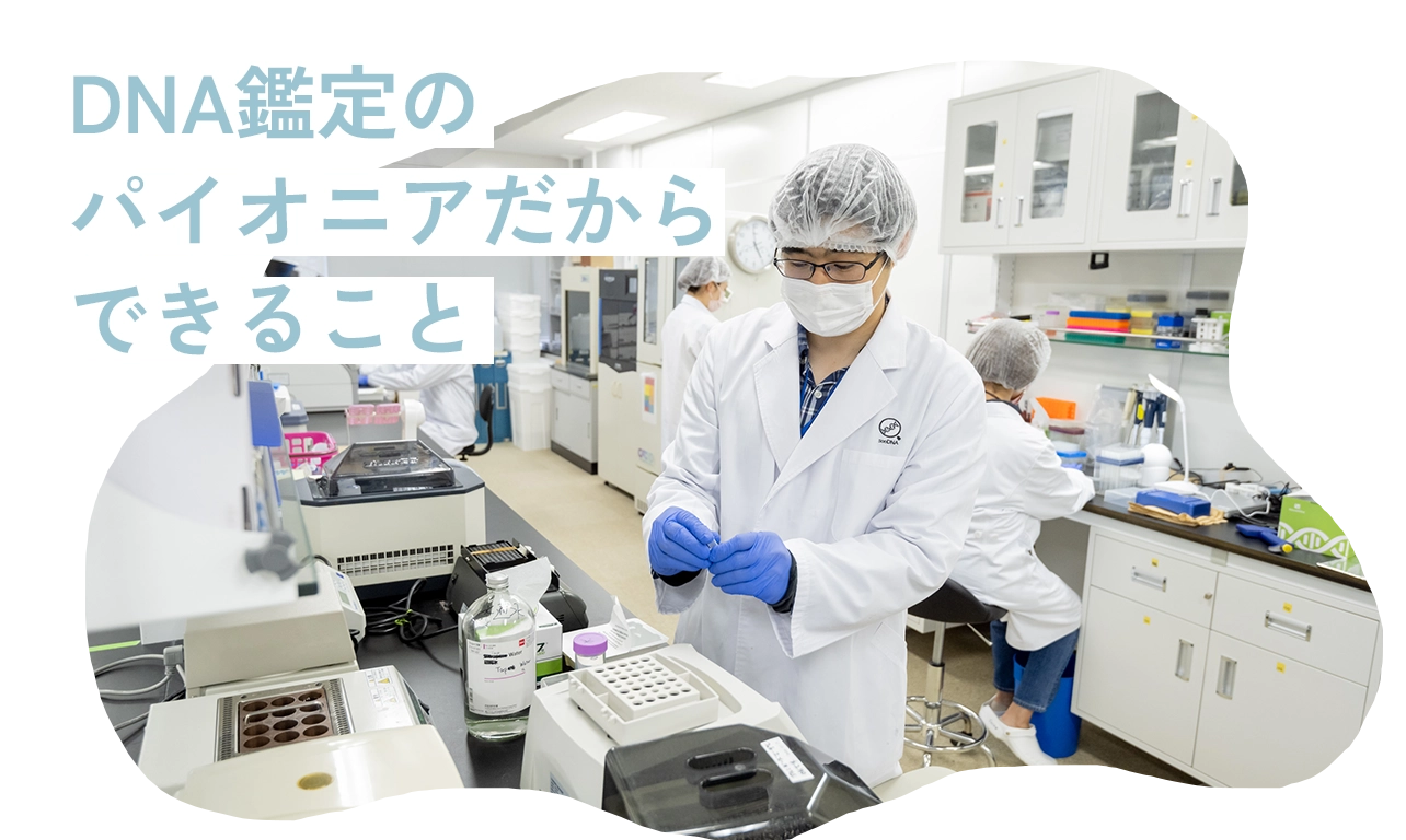 seeDNA遺伝医療研究所は検査費用、結果の報告日数、正確性の面で断然オトク!