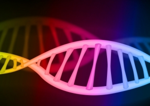 colorful_dna