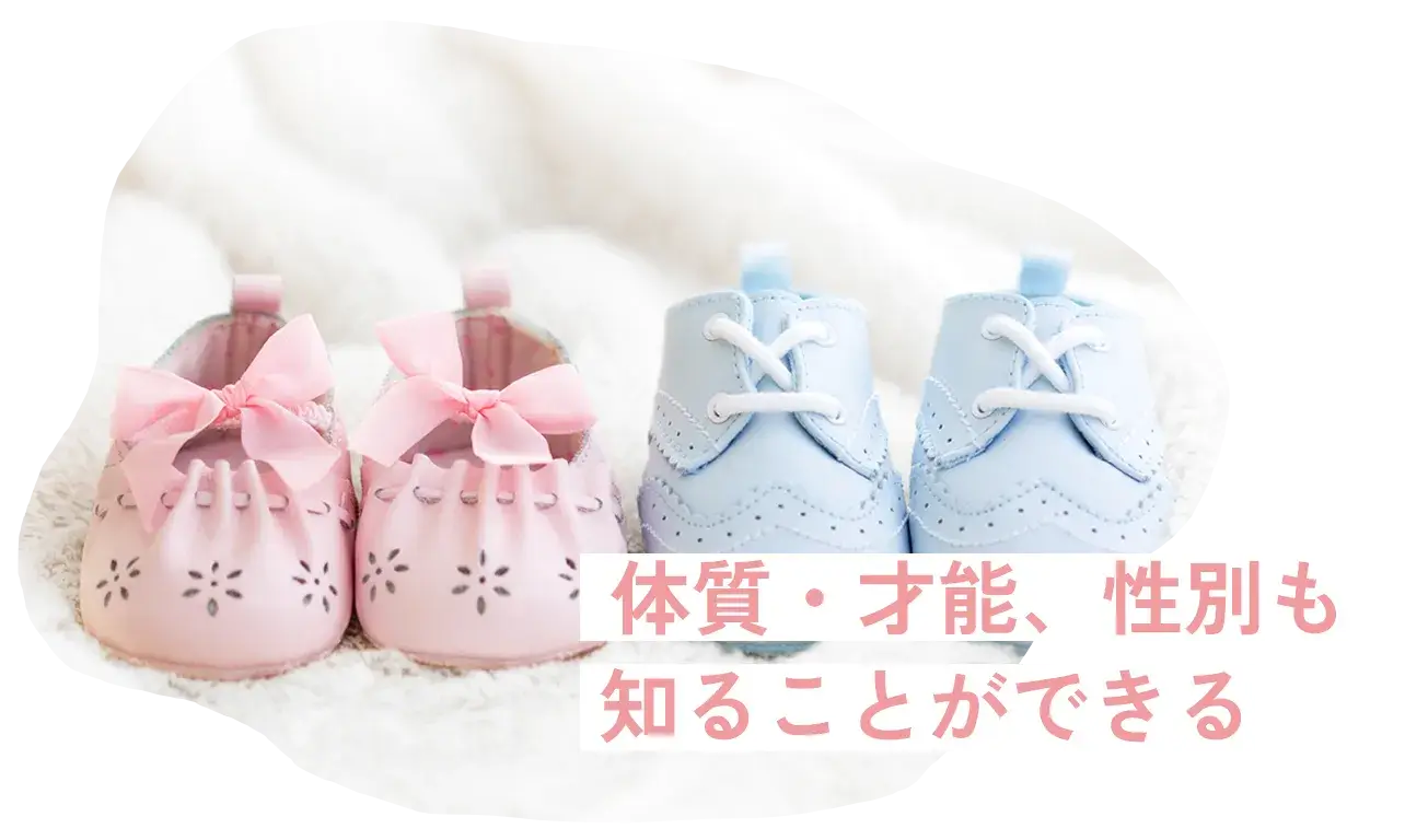 赤ちゃん用の靴