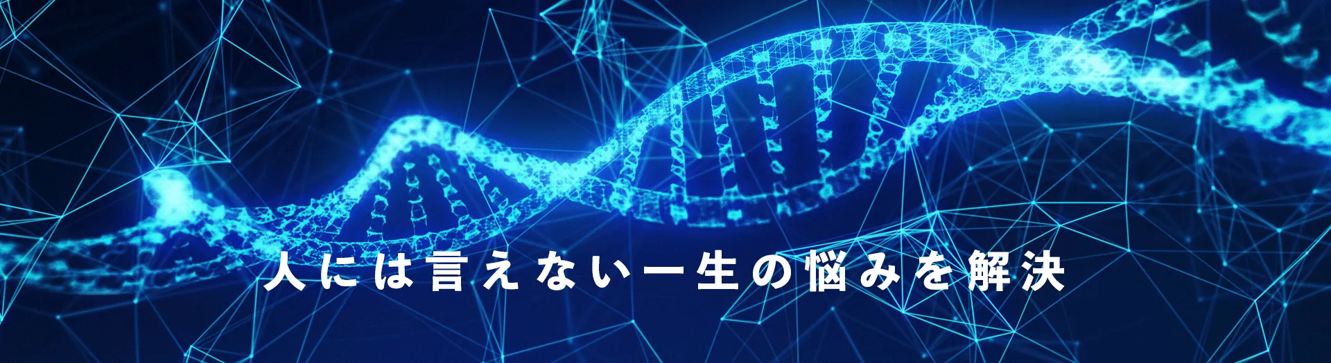 DNA鑑定・遺伝子検査のseeDNA