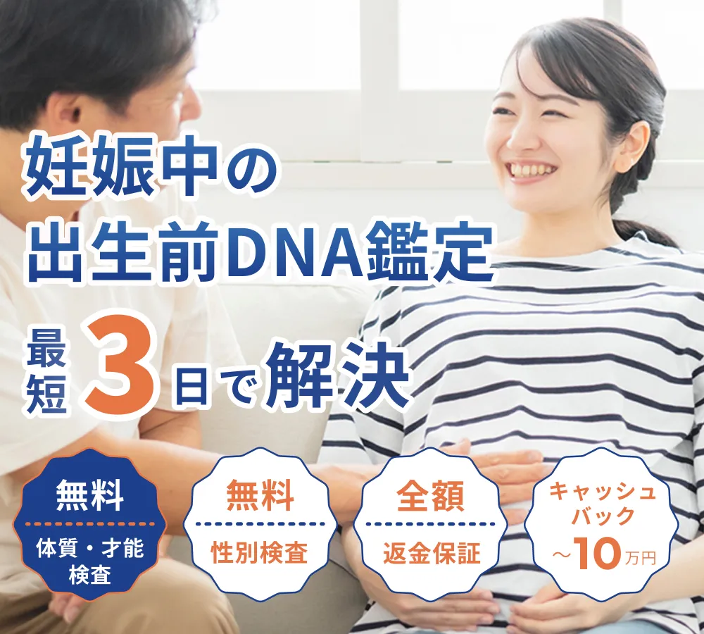 P最大17倍9/29限定 (取寄) アンクライン レディース アンディ Anne Klein women Anne Klein Andie