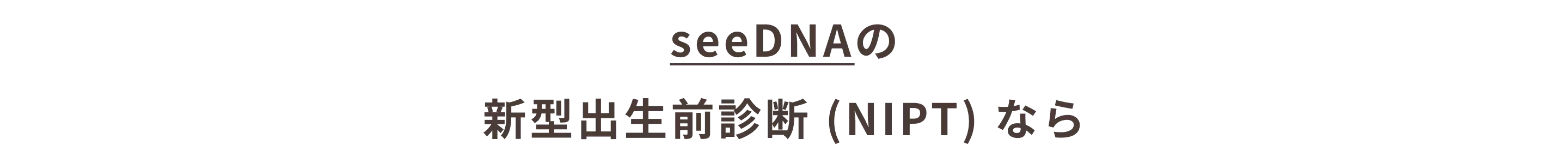 seeDNAのNIPTなら_函館市_11
