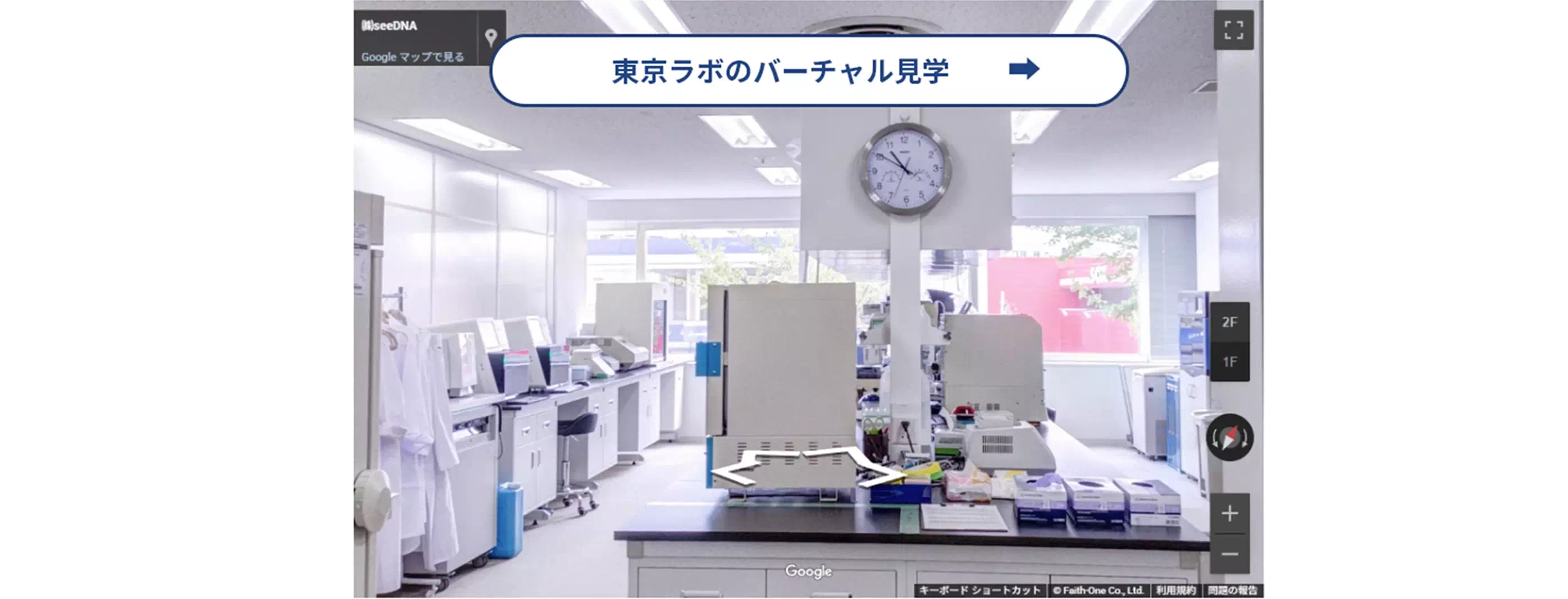 nipt-新発田市-46