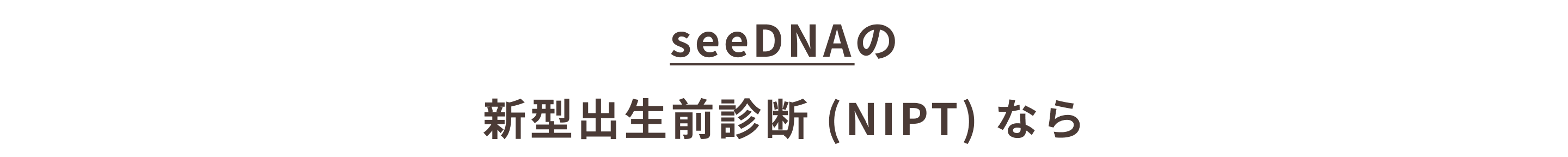 seeDNAのNIPTなら_熊本県_11