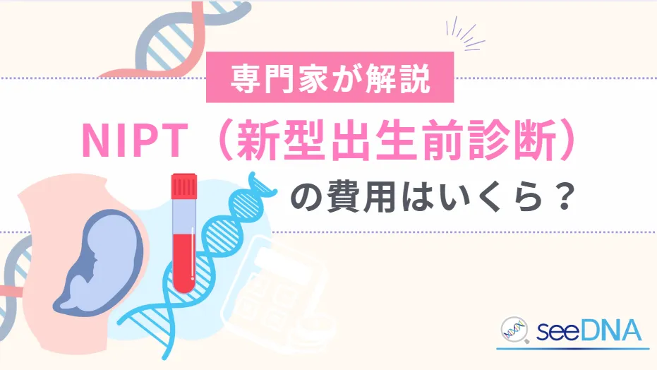 日本におけるNIPTの費用の目安