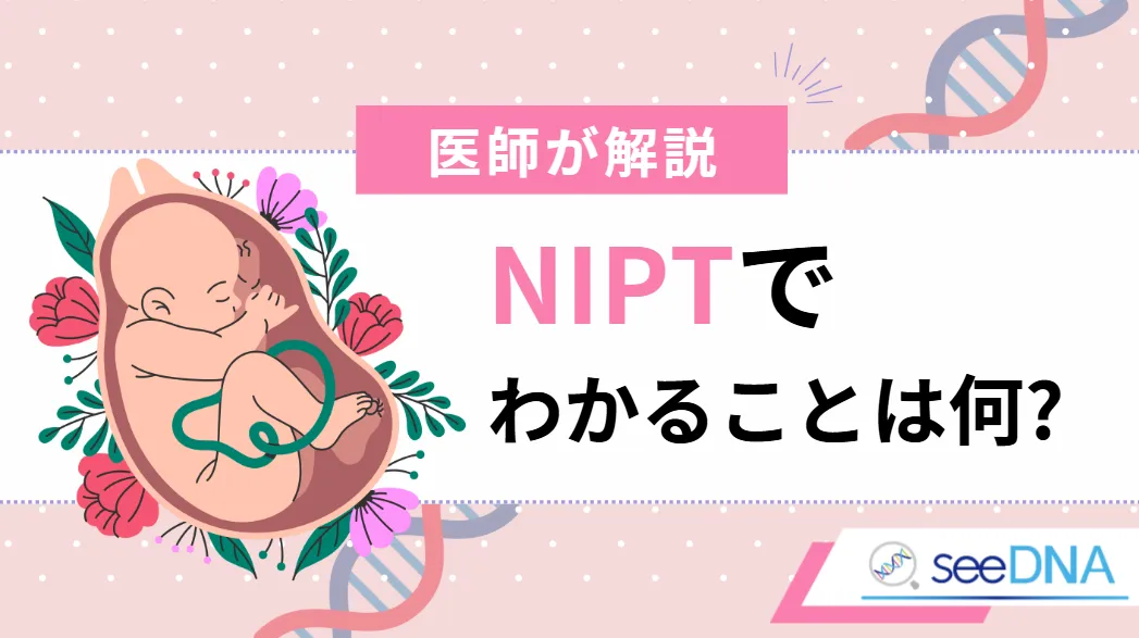 NIPTで検査できる主な染色体異常