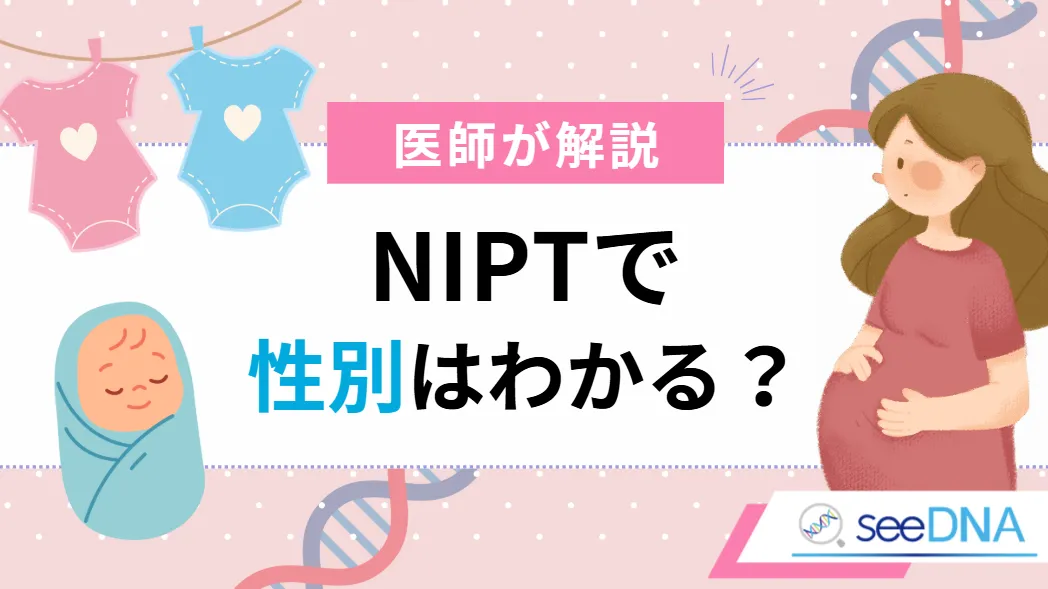NIPTで性別はわかる？