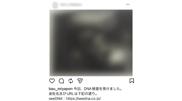 お客様からのメール