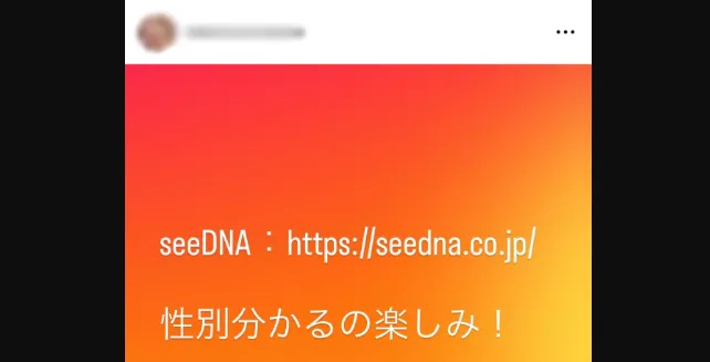 お客様からのメール