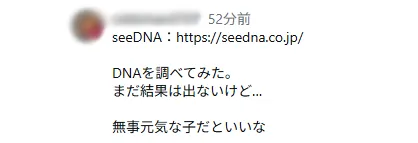 お客様からのメール