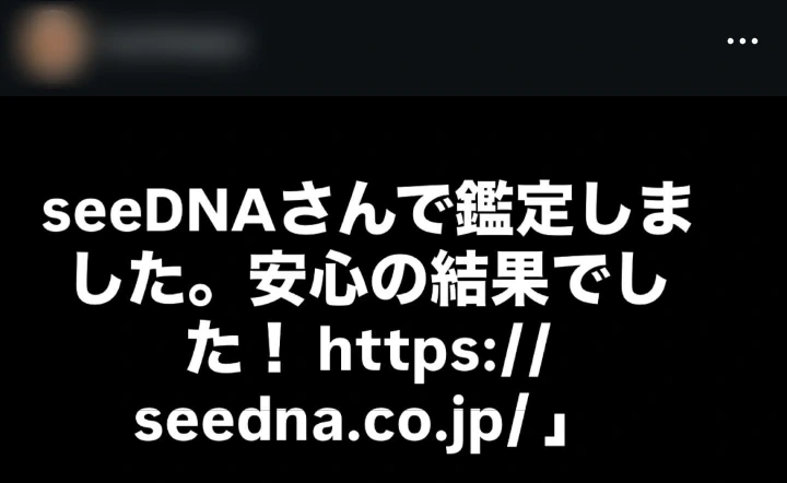 お客様からのメール